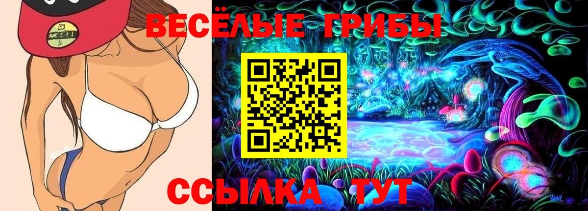 Псилоцибиновые грибы Psilocybe Лесной